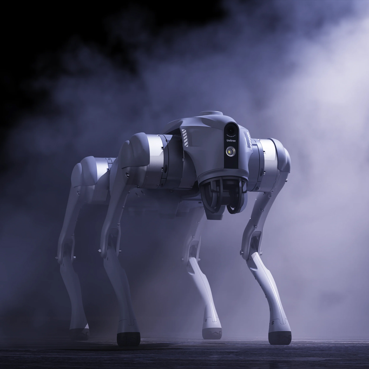 Unitree Go2 Pro Roboterhund zur Miete für Events, Outdoor-Demos und Shows