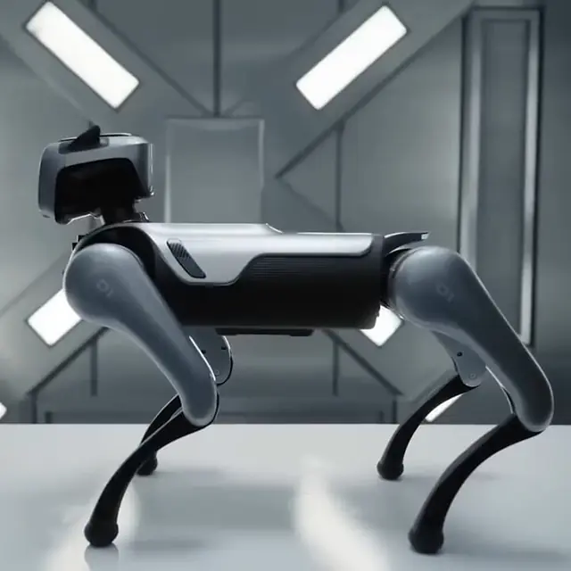 MagicDog EDU