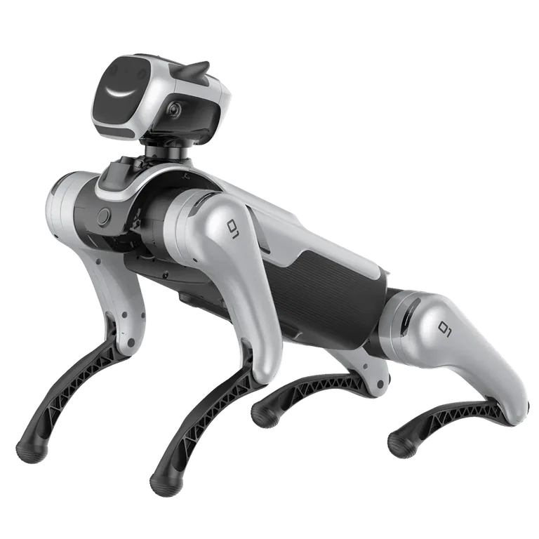 MagicDog EDU Features