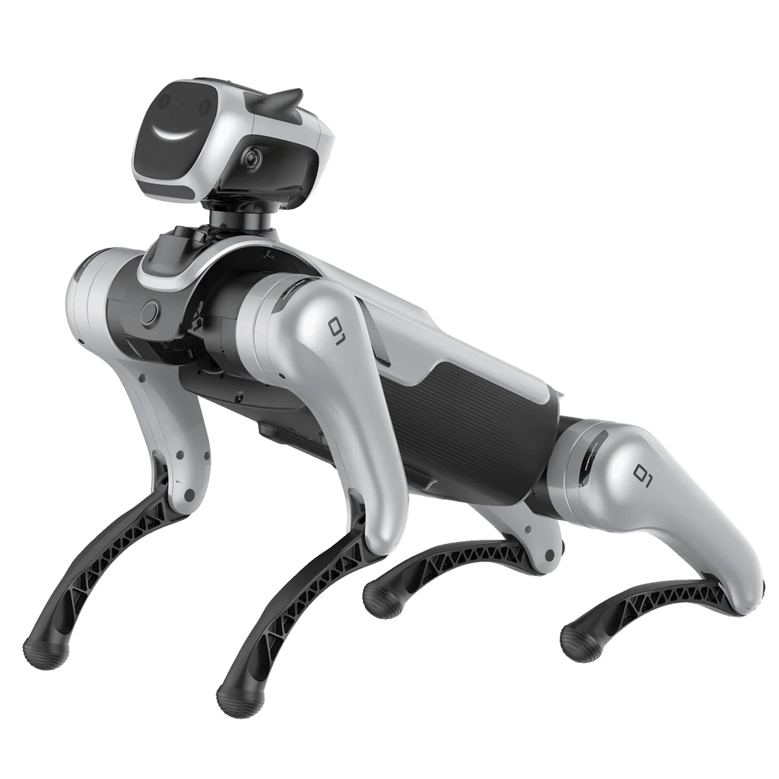 MagicDog Pro Features