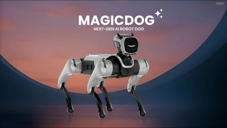 Vorschaubild des MagicDog EDU Videos