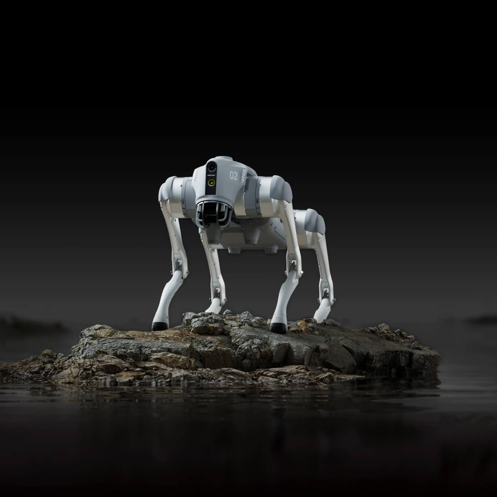 Go2 klettert Treppen