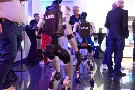 Gäste beobachten Roboterhund beim LKQ Europe Premium Event 2026
