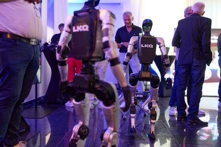 Roboterhund bei Besucherinteraktion beim LKQ Europe Premium Event 2026