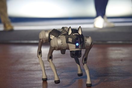 Roboterhund Portrait beim LKQ Europe Premium Event 2026